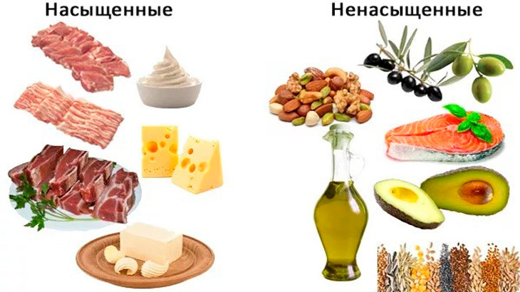 Картинки жиры растительные