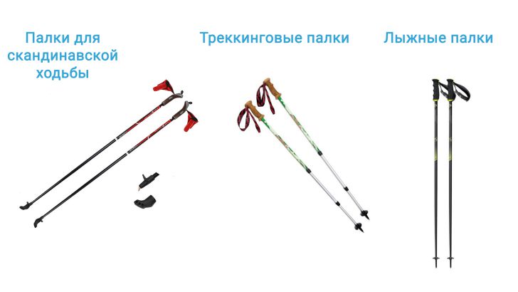 Палки ход. Лыжные палки на рост 158 скандинавской ходьбы. Палки для скандинавской ходьбы на рост 177см. Палки скандинавской ходьбы Эволюция. Строение лыж и палок.