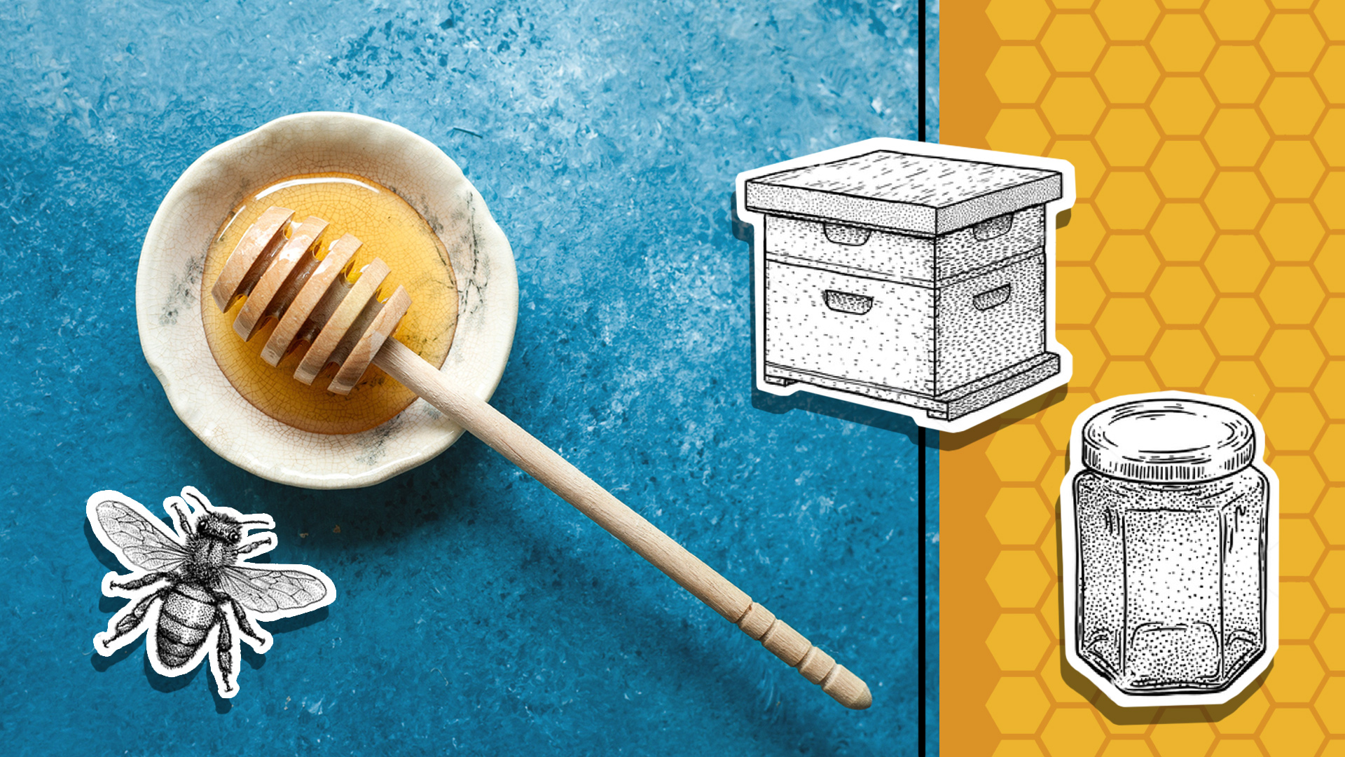 Все про пчелопродукты: полезные свойства меда, применение, состав, рецепты